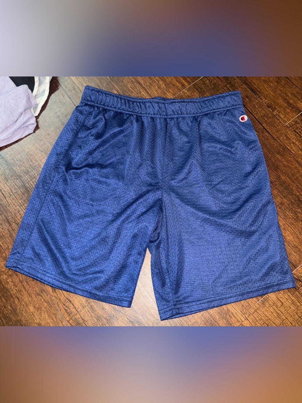 Retro Champion Boys Deep Blue Athletic Mesh Shorts Can Fit as Women’s S
